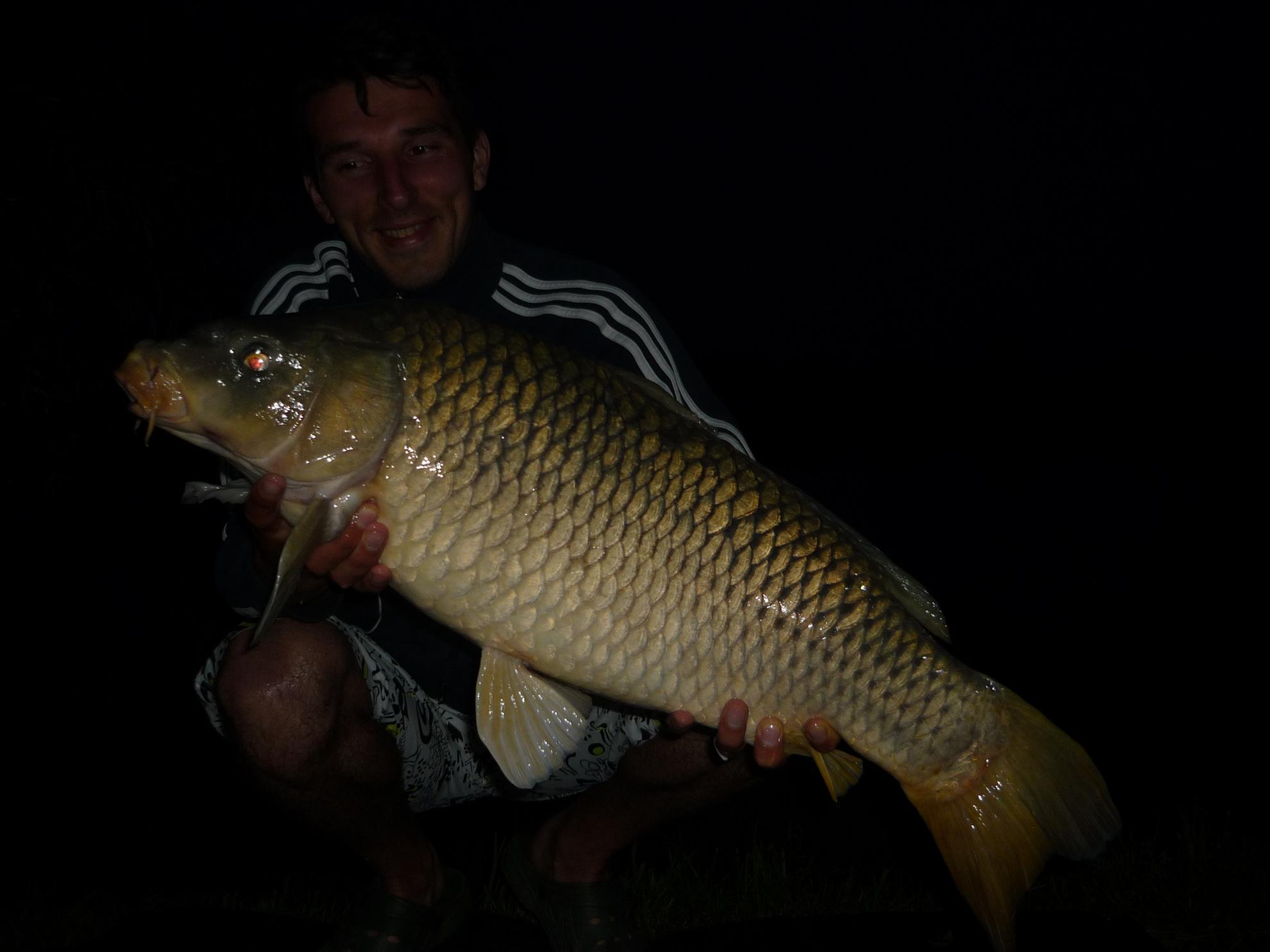 turulung - p1050557.JPG